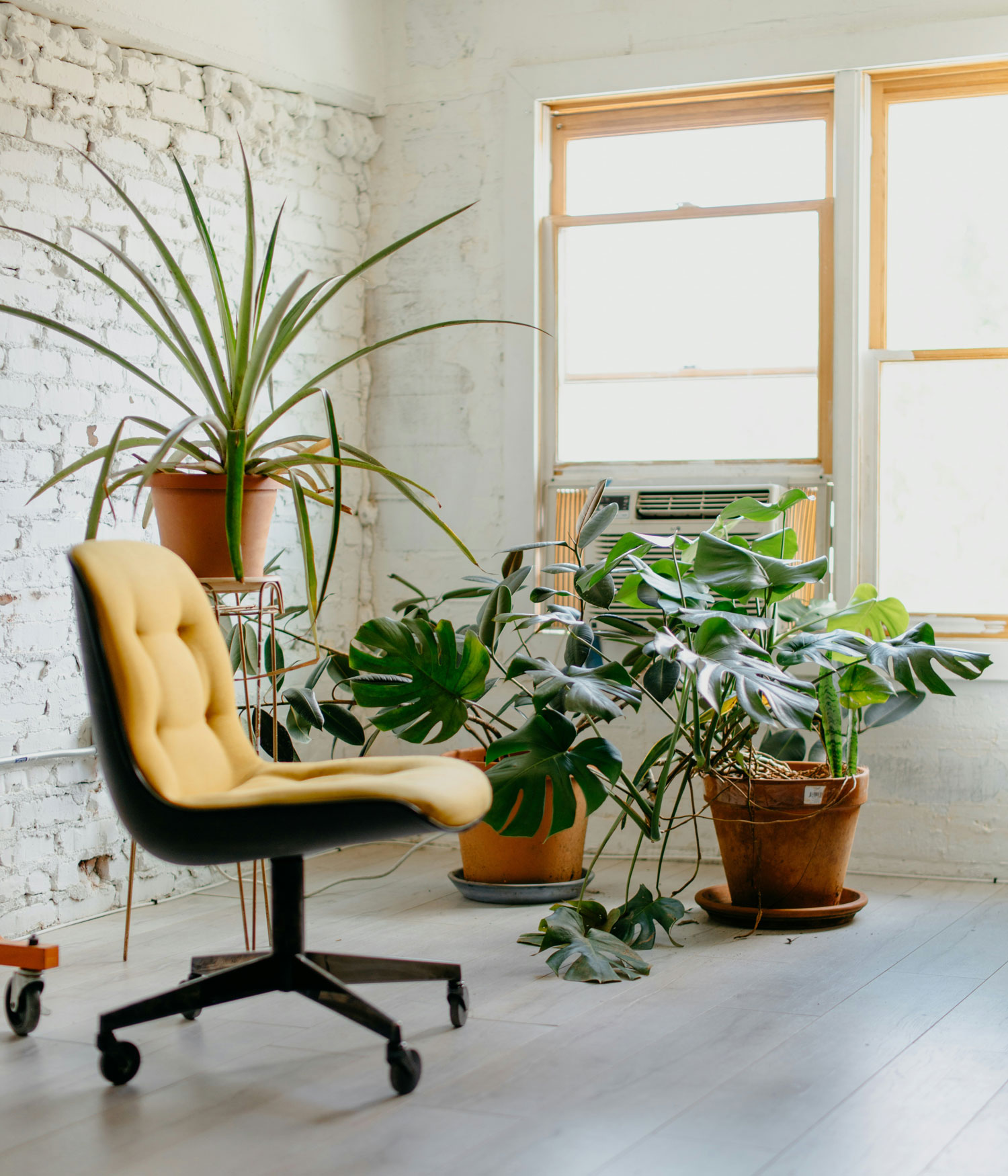 coworking-espacio